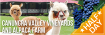 Canungra Valley Vineyards and Mountview Alpaca Farm Half Day